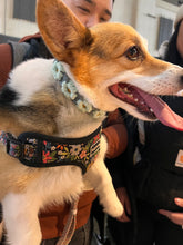 Load image into Gallery viewer, Macramé Flower Collar: 9 inch - 14 inch