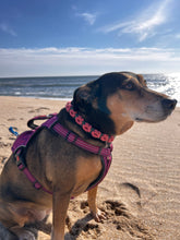 Load image into Gallery viewer, Macramé Flower Collar: 9 inch - 14 inch