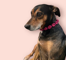 Load image into Gallery viewer, Macramé Flower Collar: 9 inch - 14 inch