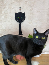 Load image into Gallery viewer, Kitty Cat Face | Cheeky