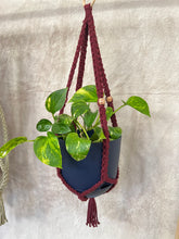 Load image into Gallery viewer, Burgundy Macrame Plant Hanger