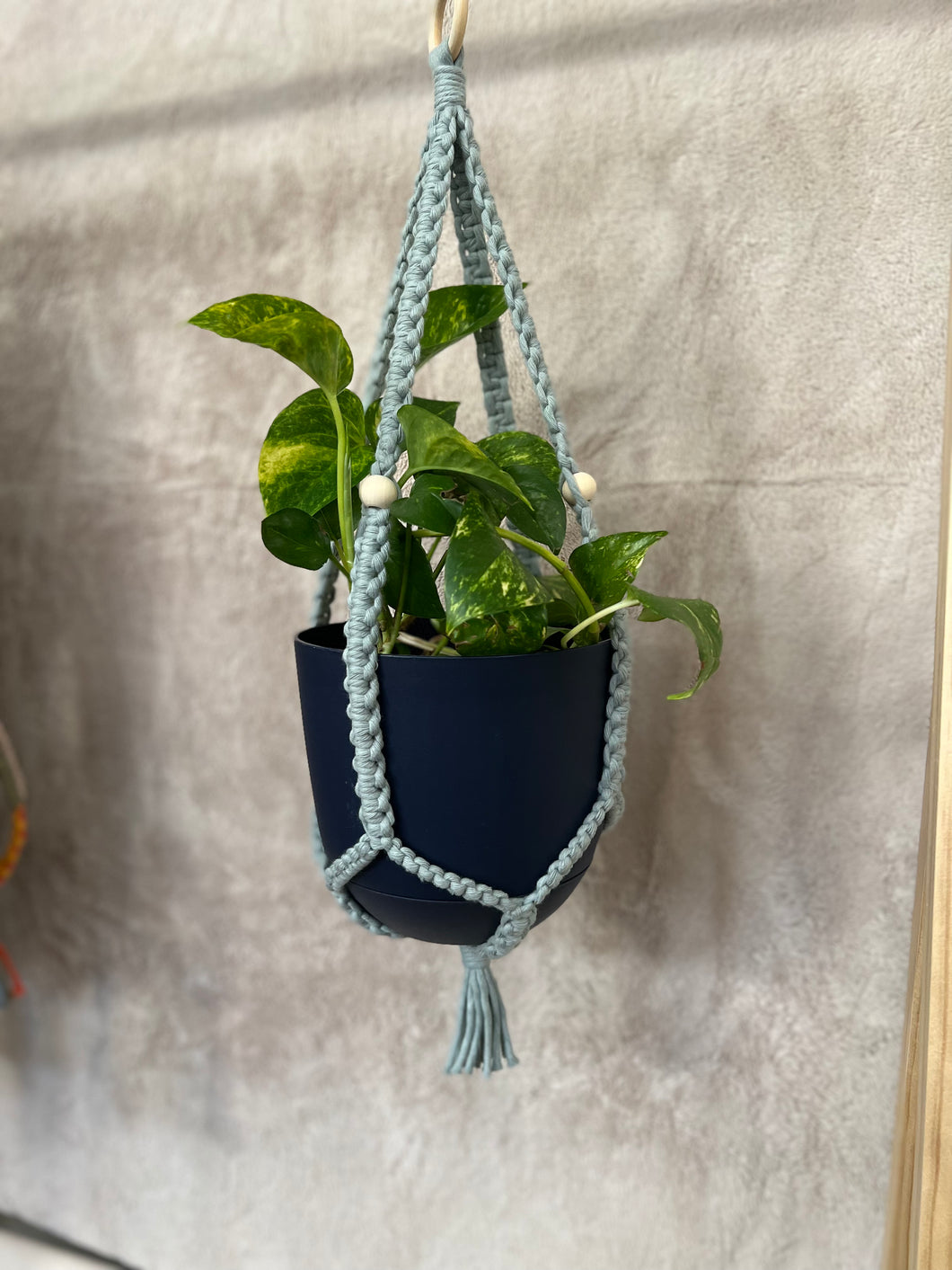 Vintage Blue | Macramé Plant Hanger